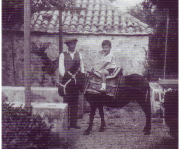 Brac Ivan Illich donkey