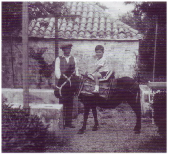 Brac Ivan Illich donkey