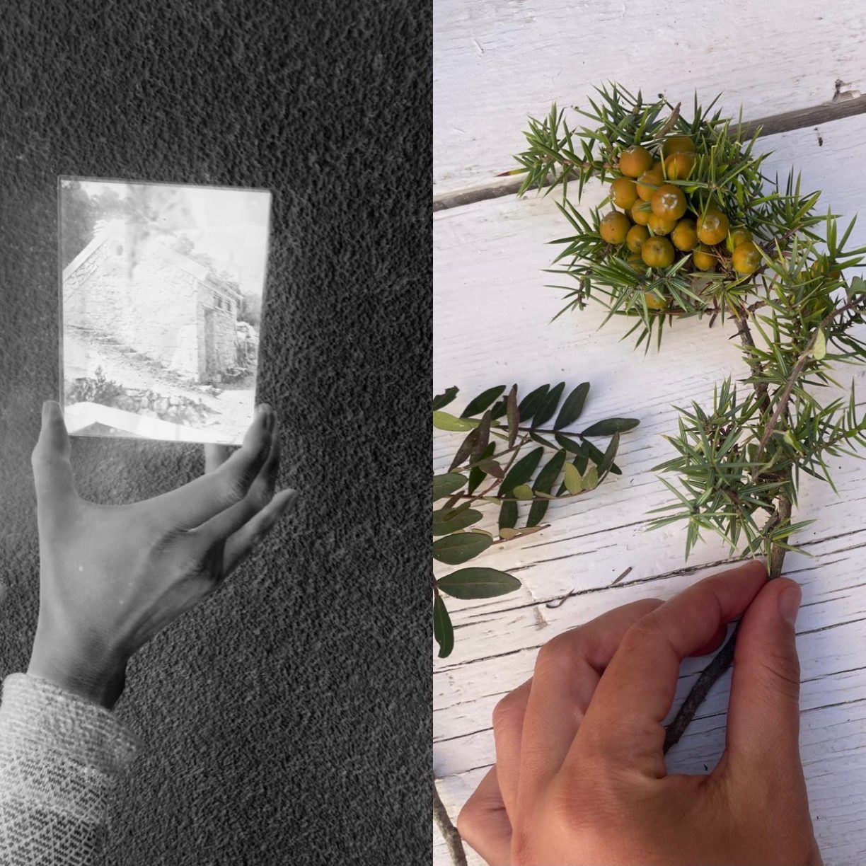 Issa Juniper