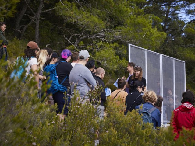 Issa Octoberschool2025 Day2 22.10.2025 Vis Croatia Mb1 1891 Photo Metodblejec