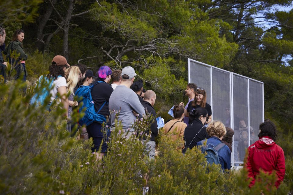 Issa Octoberschool2025 Day2 22.10.2025 Vis Croatia Mb1 1891 Photo Metodblejec