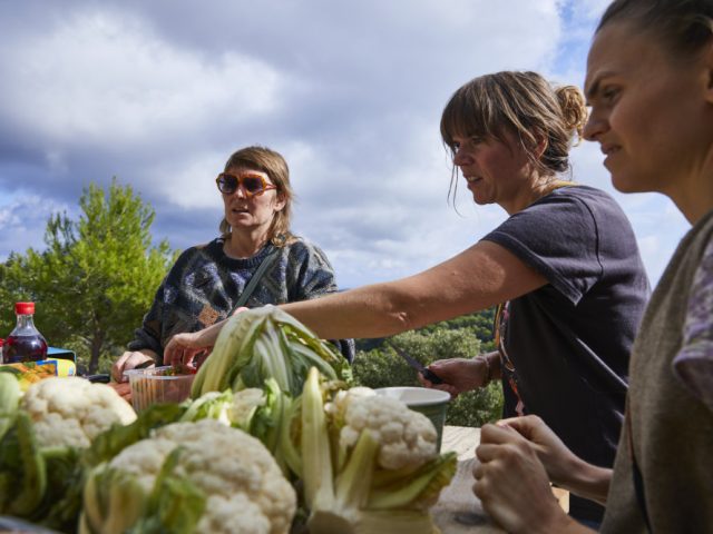 Issa Octoberschool2025 Day2 22.10.2025 Vis Croatia Mb1 1981 Photo Metodblejec