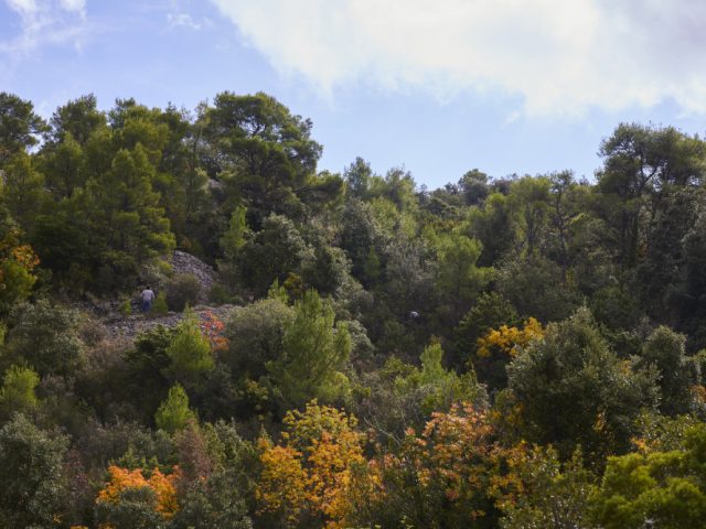 Issa Octoberschool2025 Day2 22.10.2025 Vis Croatia Mb1 2077 Photo Metodblejec