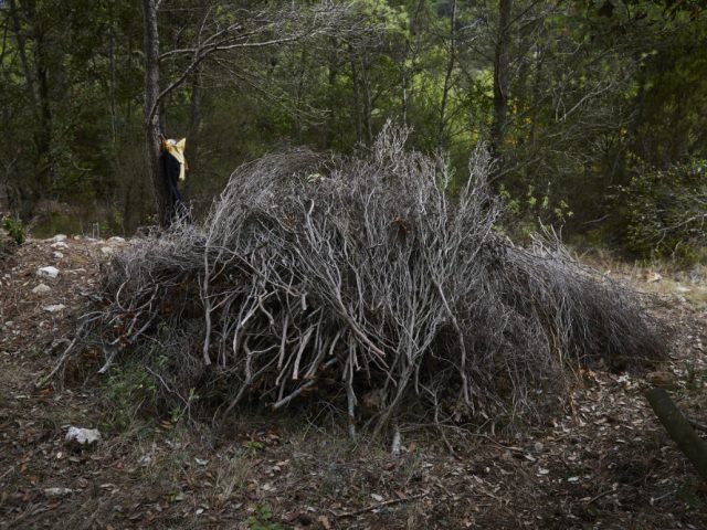 Issa Octoberschool2025 Day2 22.10.2025 Vis Croatia Mb1 2117 Photo Metodblejec
