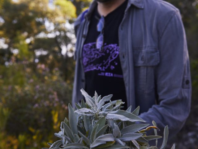 Issa Octoberschool2025 Day4 24.10.2025 Vis Croatia Mb1 2918 Photo Metodblejec