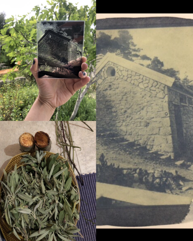 Pinhole and large format ONDU cameras' photography