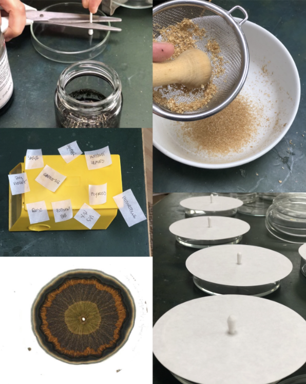 Creating Chromatography