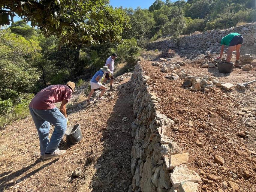 Dry Stone Walling workshop