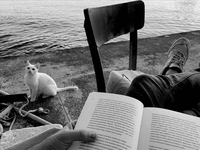 Reading book by the sea